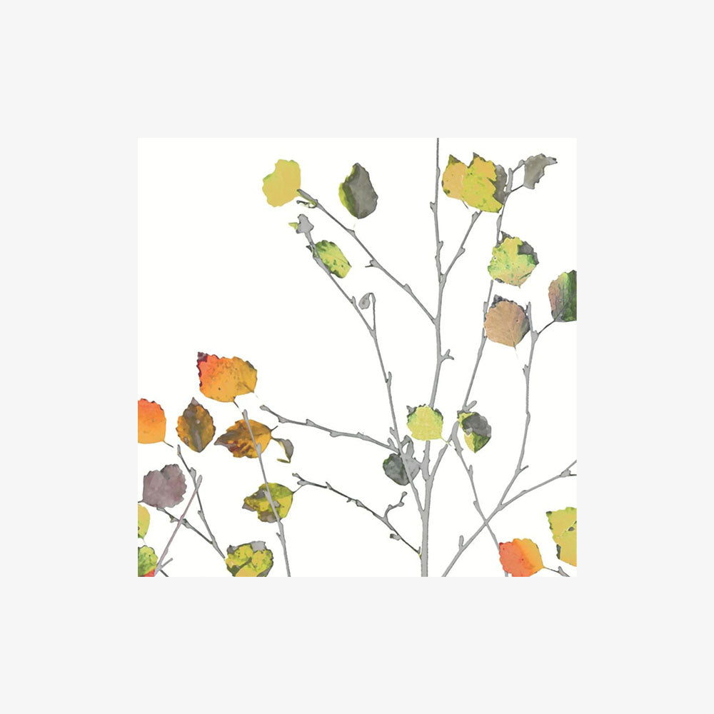 Minimalist Autumn Cocktail Napkins on a white background