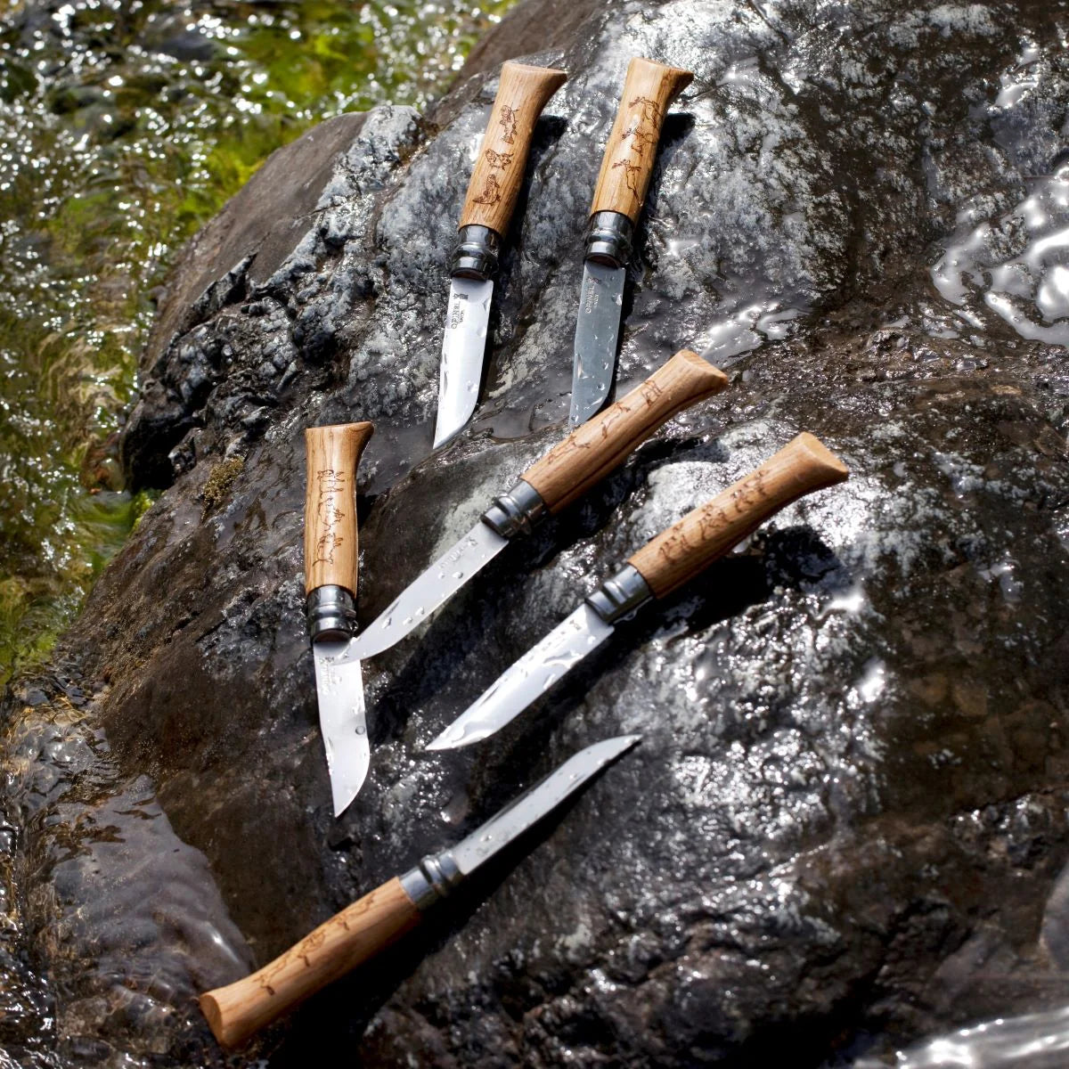 Opinel No. 08 Trout Stainless Steel Folding Knives on a rock next to a stream at Addison West