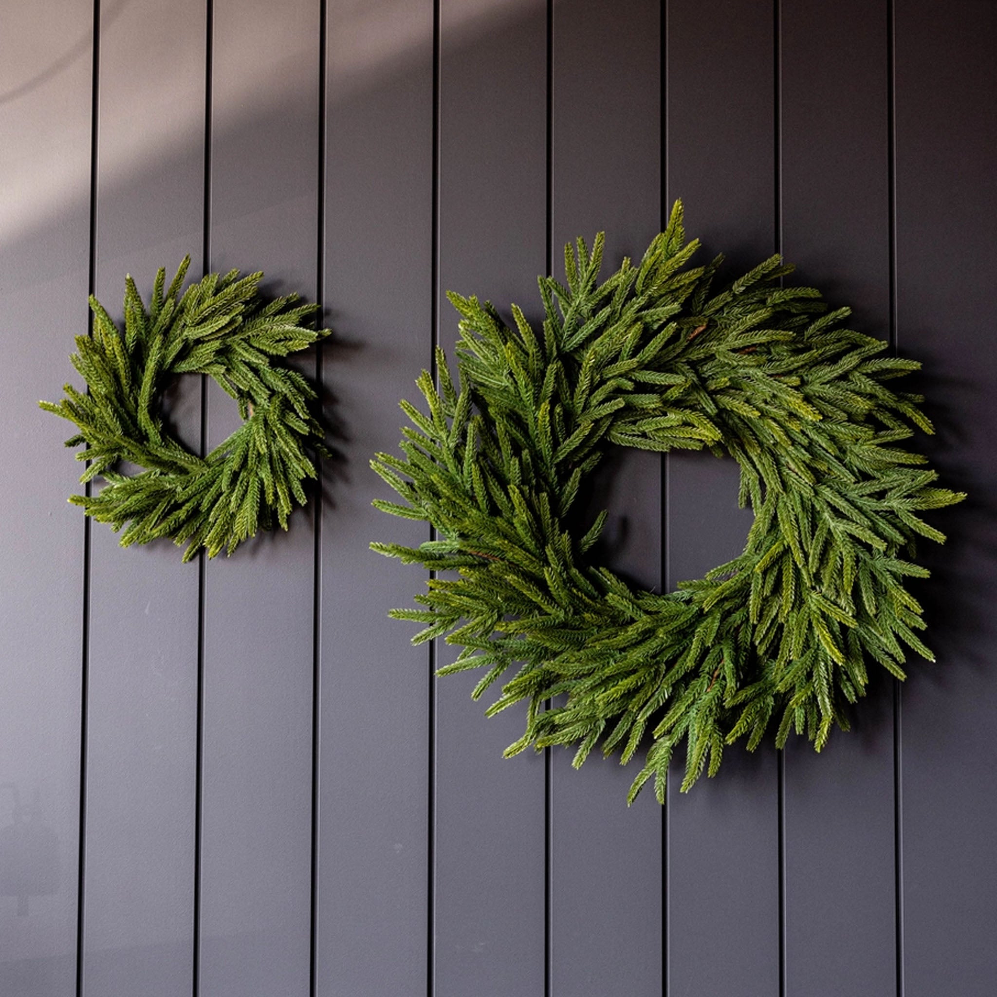 Norfolk & Cypress Mixed Real Touch Mini Wreath, 12" on a black wall at Addison West