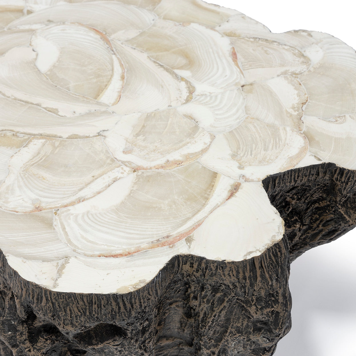 Palecek Chloe Fossil Clam Lava Coffee Table on white background at Addison West.