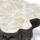 Palecek Chloe Fossil Clam Lava Coffee Table on white background at Addison West.
