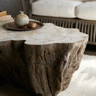 Palecek Chloe Fossil Clam Lava Coffee Table in living room at Addison West.