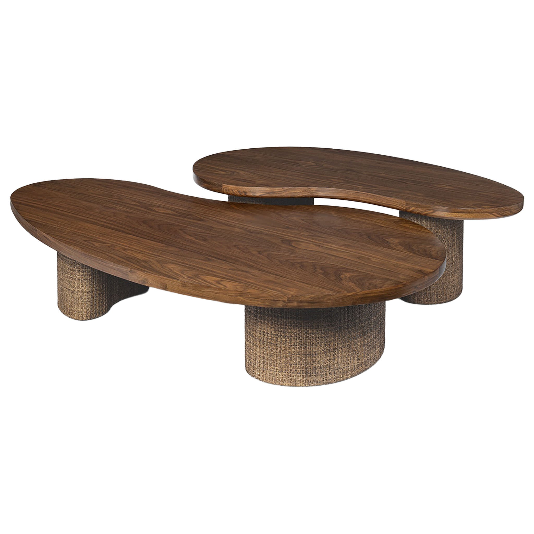 Palecek Zoey Walnut Small Coffee Table on white background at Addison West.