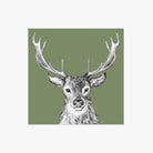 Illustration of a deer with large antlers on a green background