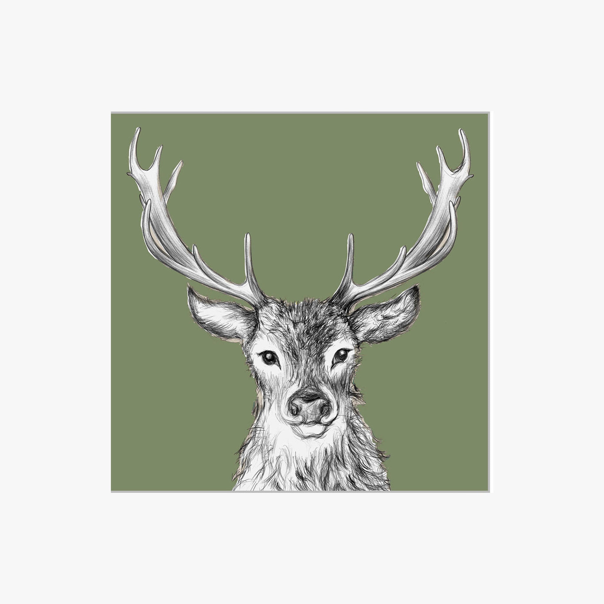 Illustration of a deer with large antlers on a green background
