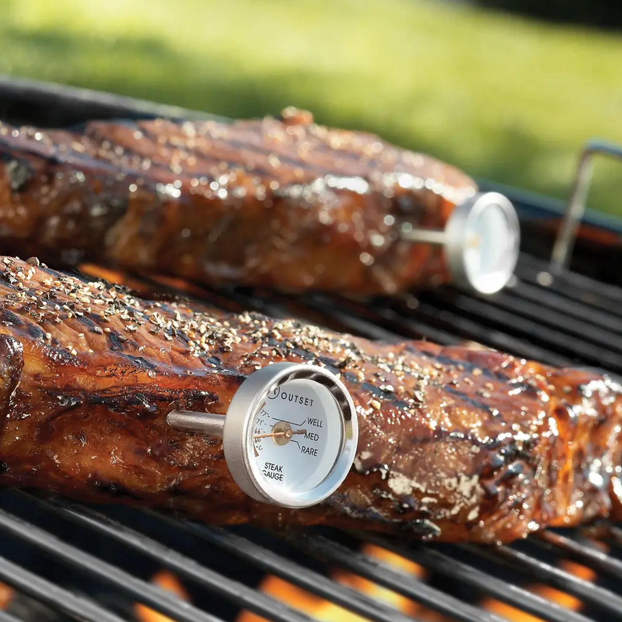 Two pieces of meat on a grill with thermometer probes inserted, set against a blurred green background.