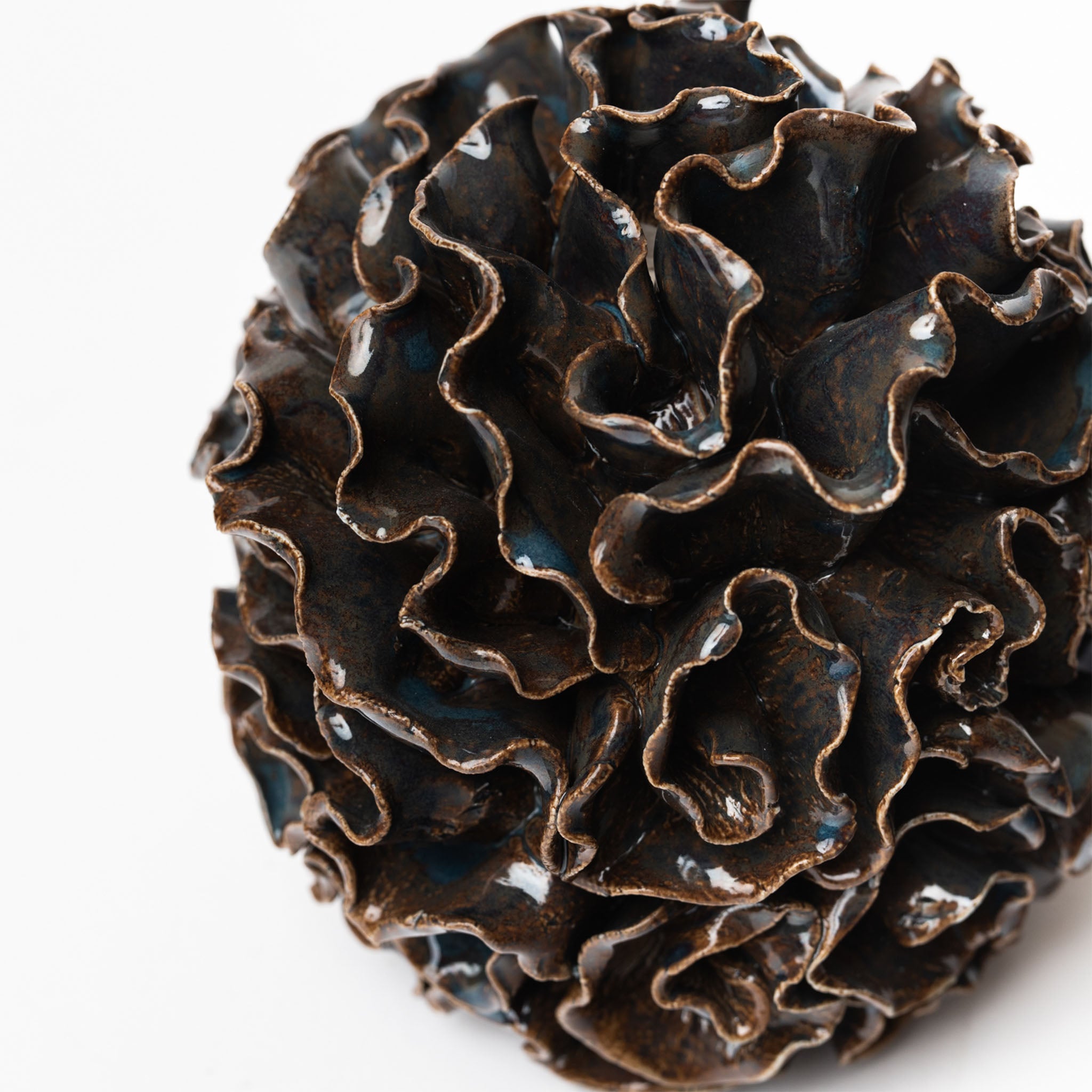 Funky Foliose - Addison West 