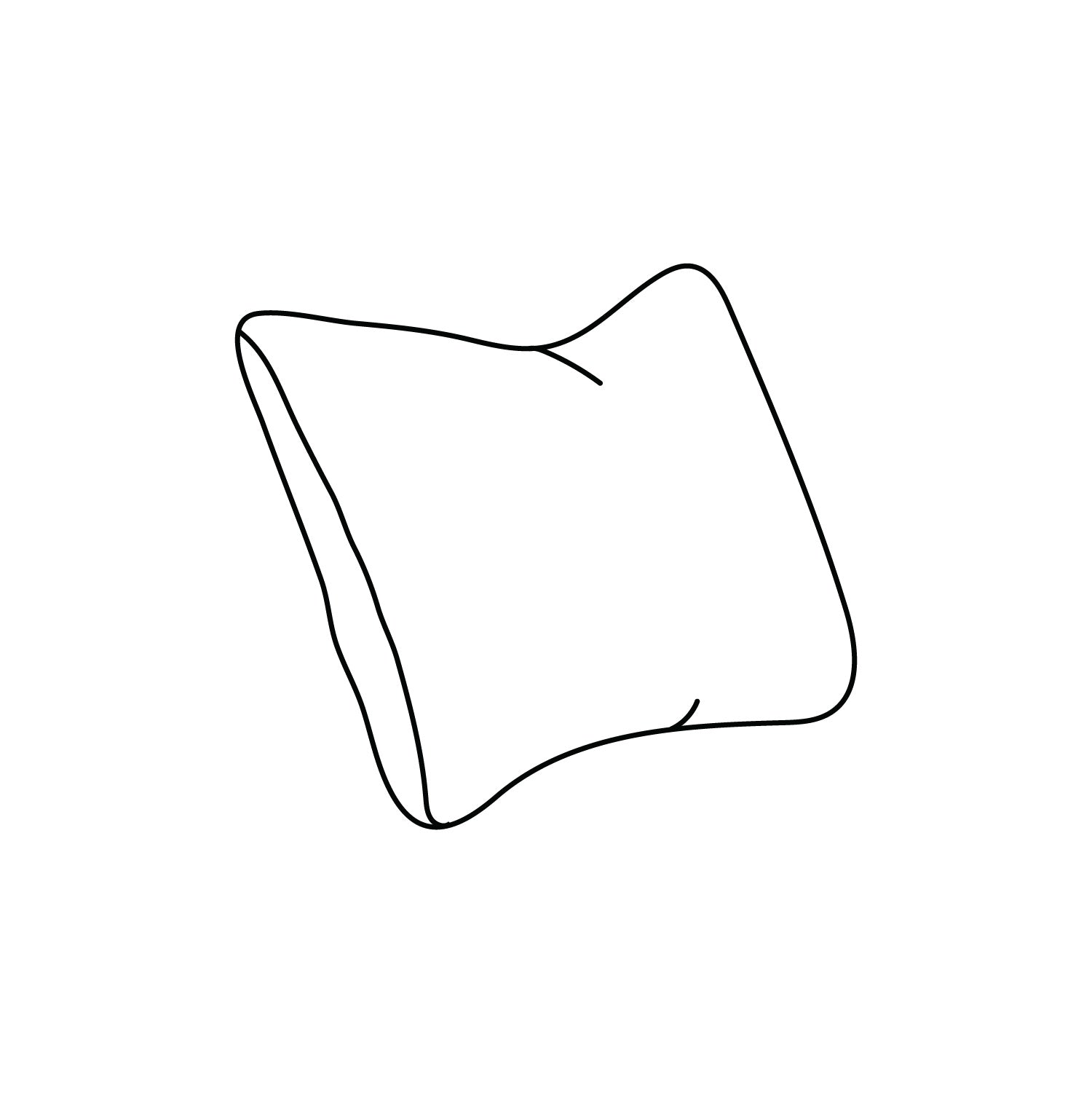 CR Laine custom throw pillow 18x18 illustration on a white background at Addison West