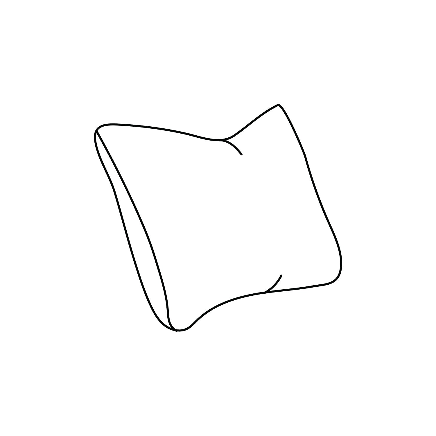 CR Laine custom 20x20 throw pillow illustration on a white background at Addison West