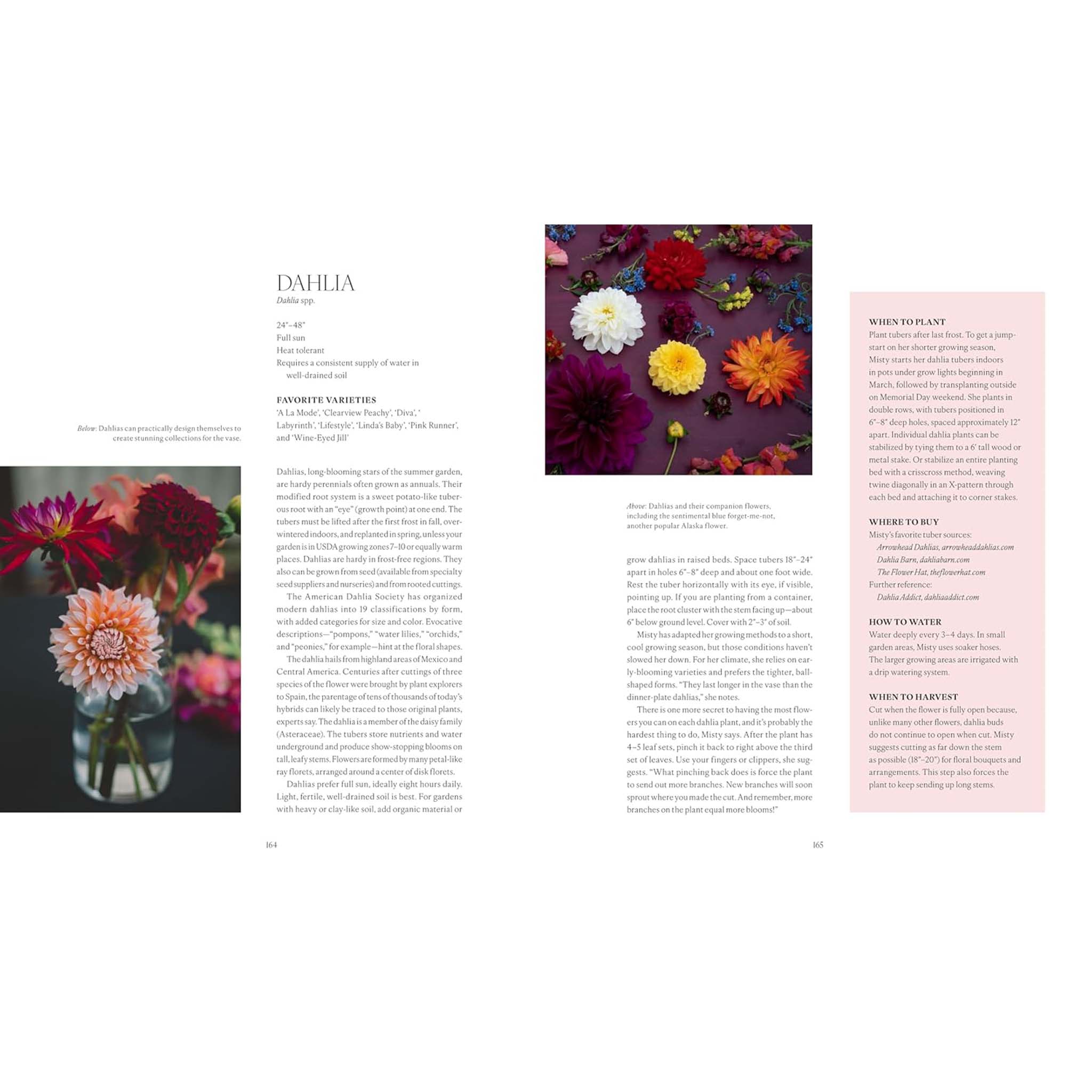 Garden & Outdoor – Addison West