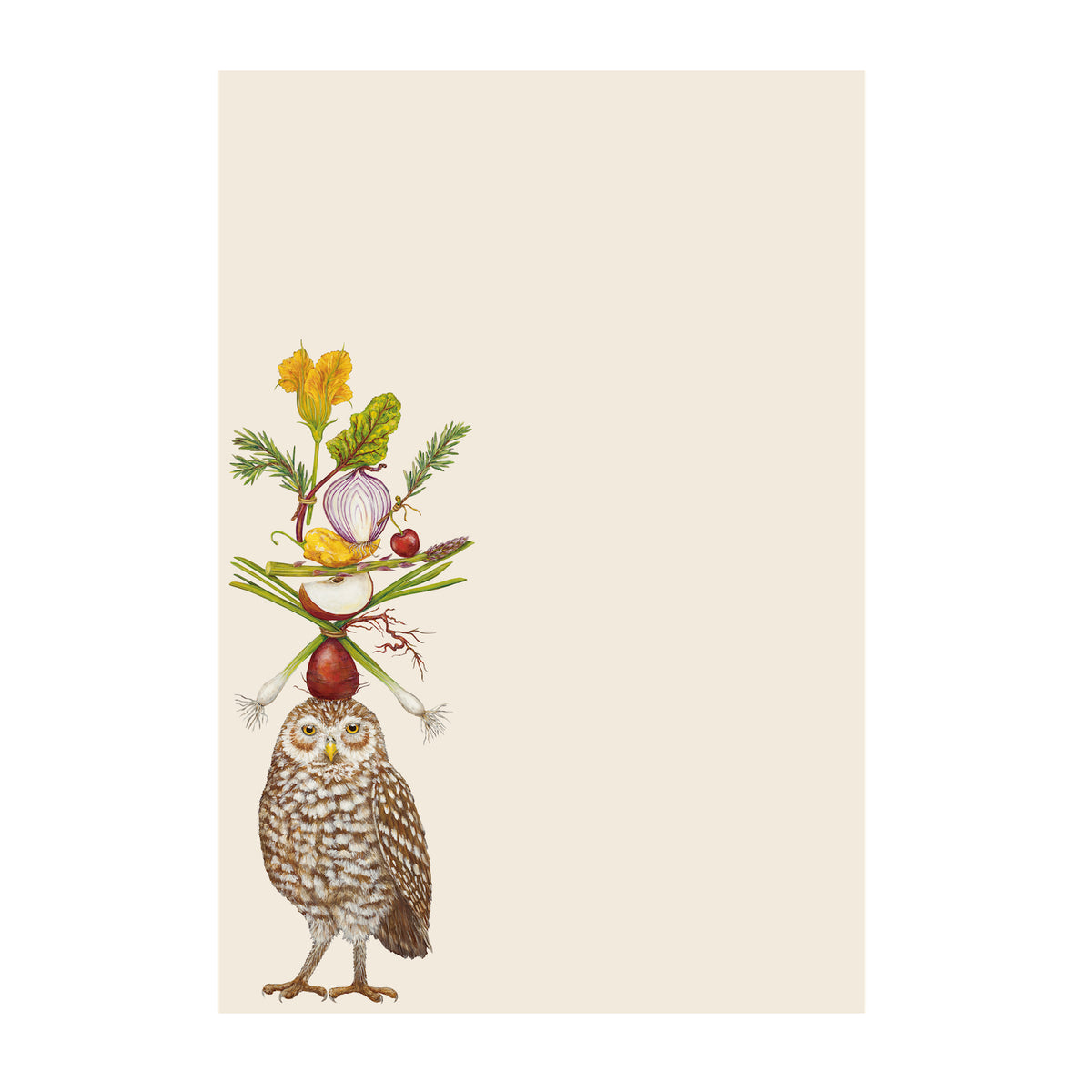 Vegetarian Owl Notepad on plain background.