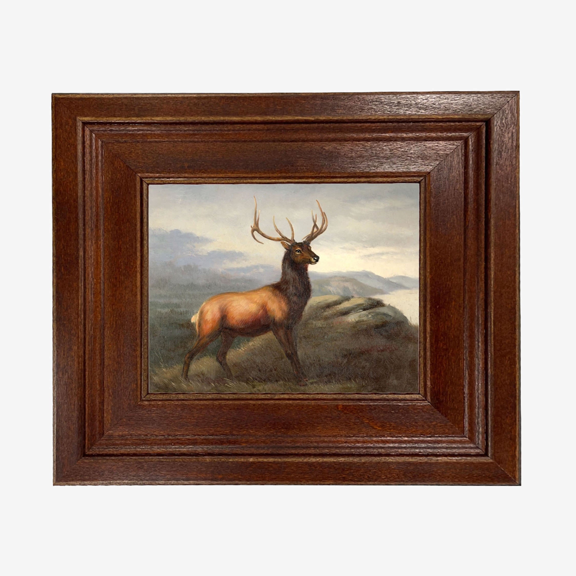 White Tail Stag Vintage Artwork with wood frame on a white background