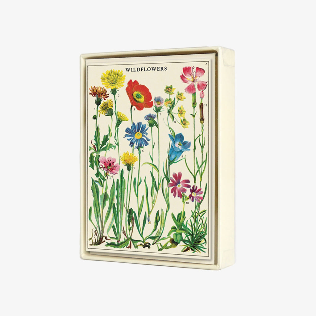 Cavallini Paper Wildflowers Boxed Note Cards on a white background
