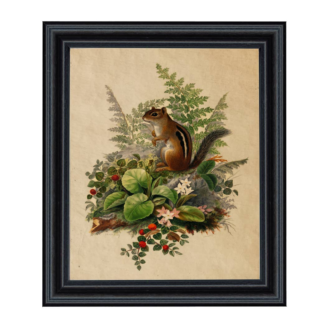 Framed artwork of a squirrel among plants and flowers on a beige background