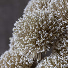 Close up of Abigail Ahern Faux Allium Bunch in White on a grey background at Addison West
