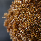 Abigail Ahern Artificial Allium Stem in Umber on a grey background at Addison West