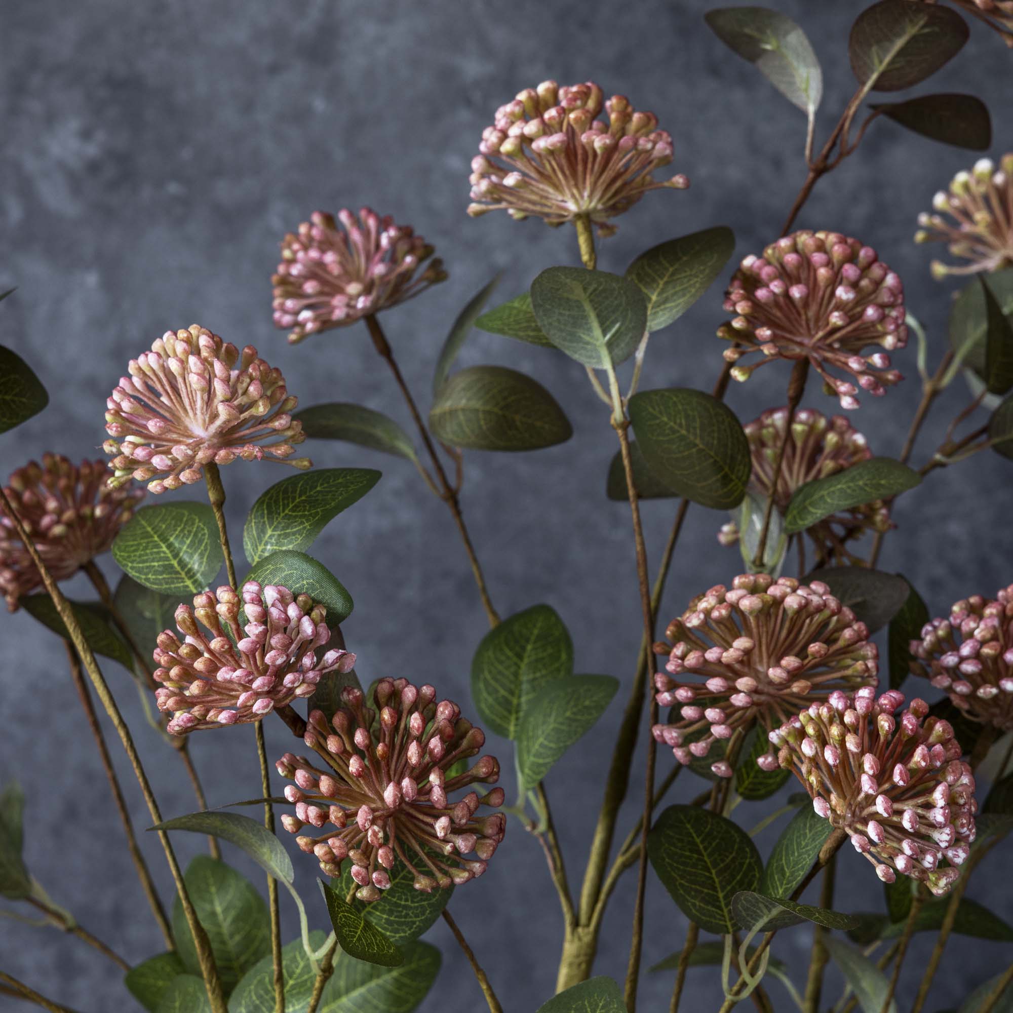 Abigail Ahern Faux Eucalyptus Berry on a grey background at Addison West