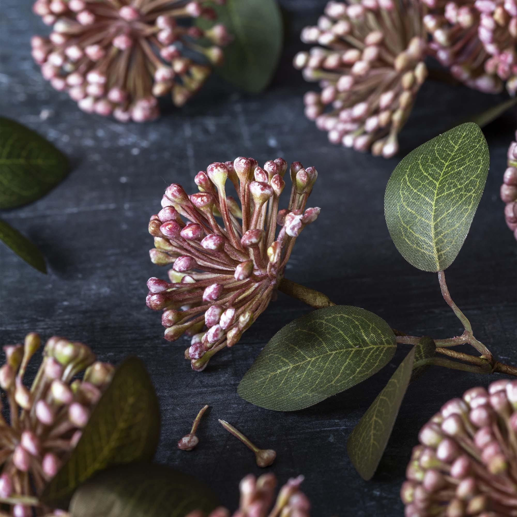Abigail Ahern Faux Eucalyptus Berry on a grey background at Addison West