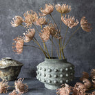 Abigail Ahern Faux Leucospermum in Blush in a vase on a grey background at Addison West