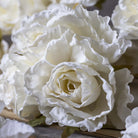 Abigail Ahern Faux Rose Bunch in White on a grey background at Addison West