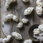 Abigail Ahern Faux Rose Bunch in Whiteon a grey background at Addison West