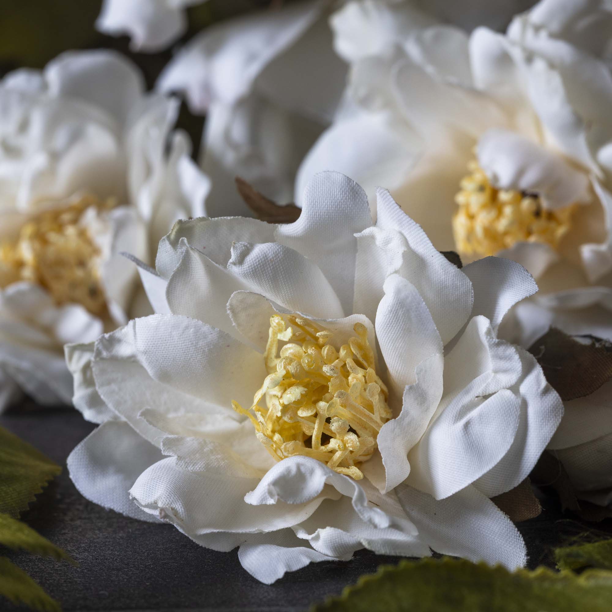 Close-up of abigail ahern white faux flowers with yellow centers on a dark background