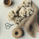 Abigail Ahern Faux Sedum in Cream faux florals on a beige background at Addison West
