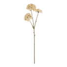 Abigail Ahern Faux Sedum in Cream faux florals on a white background at Addison West