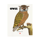 Owls Coloring Book on a white background at Addison West