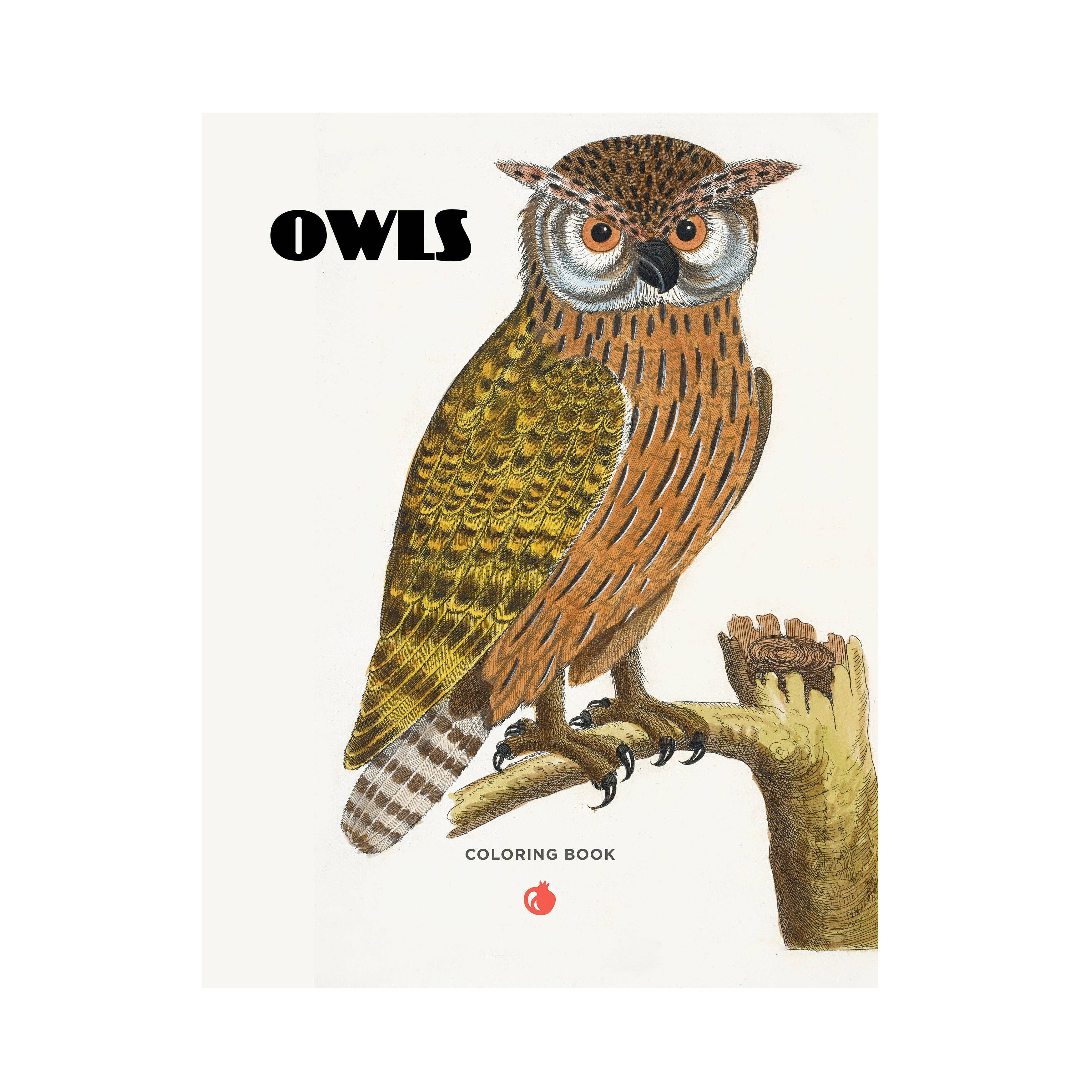 Owls Coloring Book on a white background at Addison West