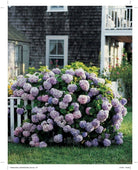 The Martha Way: Essential Principles for Mastering Home and Living by Martha Stewart on a white background at Addison West