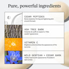 Ursa Major Sunny Start Eye Serum benefits graphic at Addison West