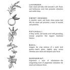 Revive Bath Salts on a white background at Addison West