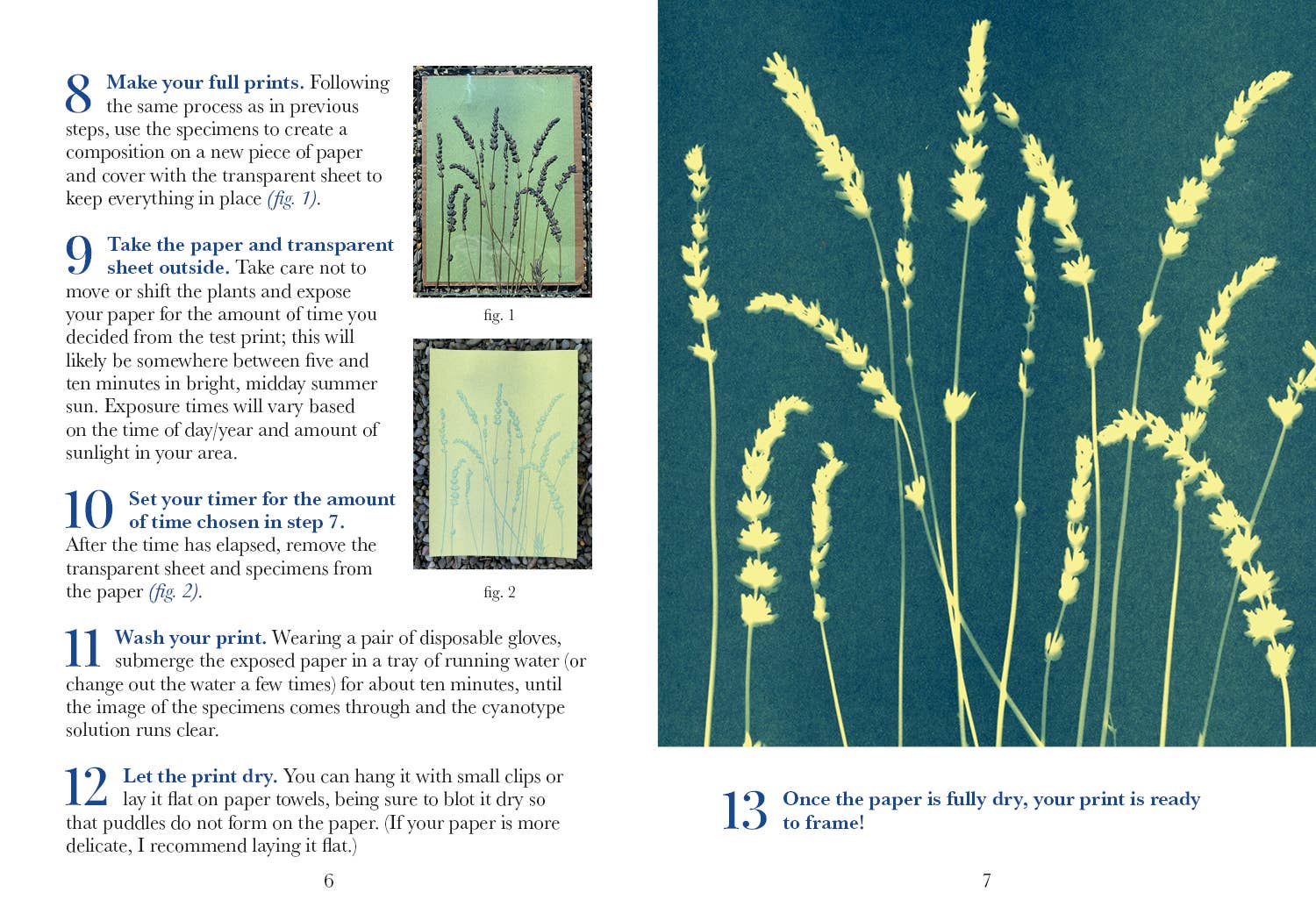 3-Color Botanical Cyanotype Kit pages at Addison West