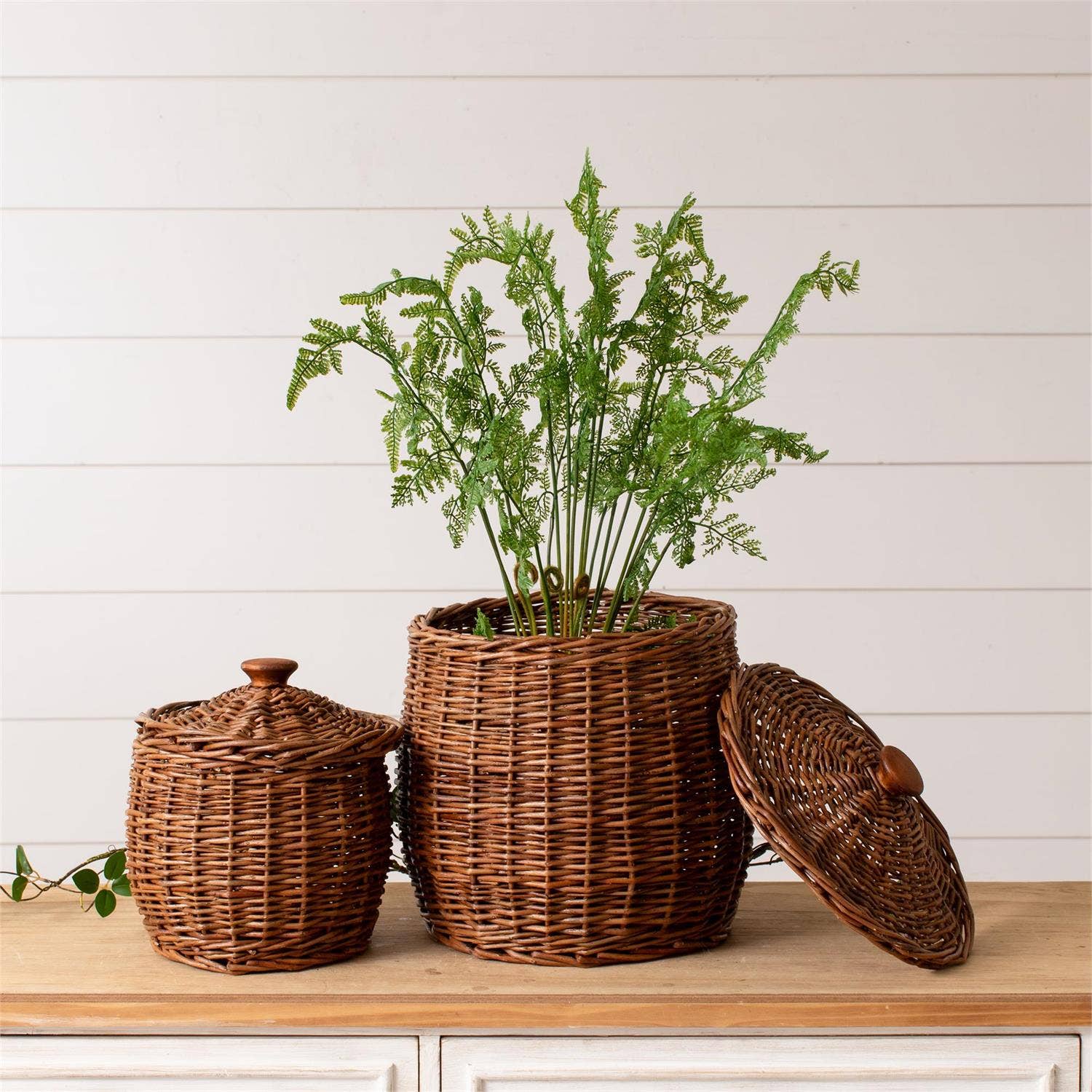 Wicker Storage Baskets With Lids on a table with a plant at Addison West