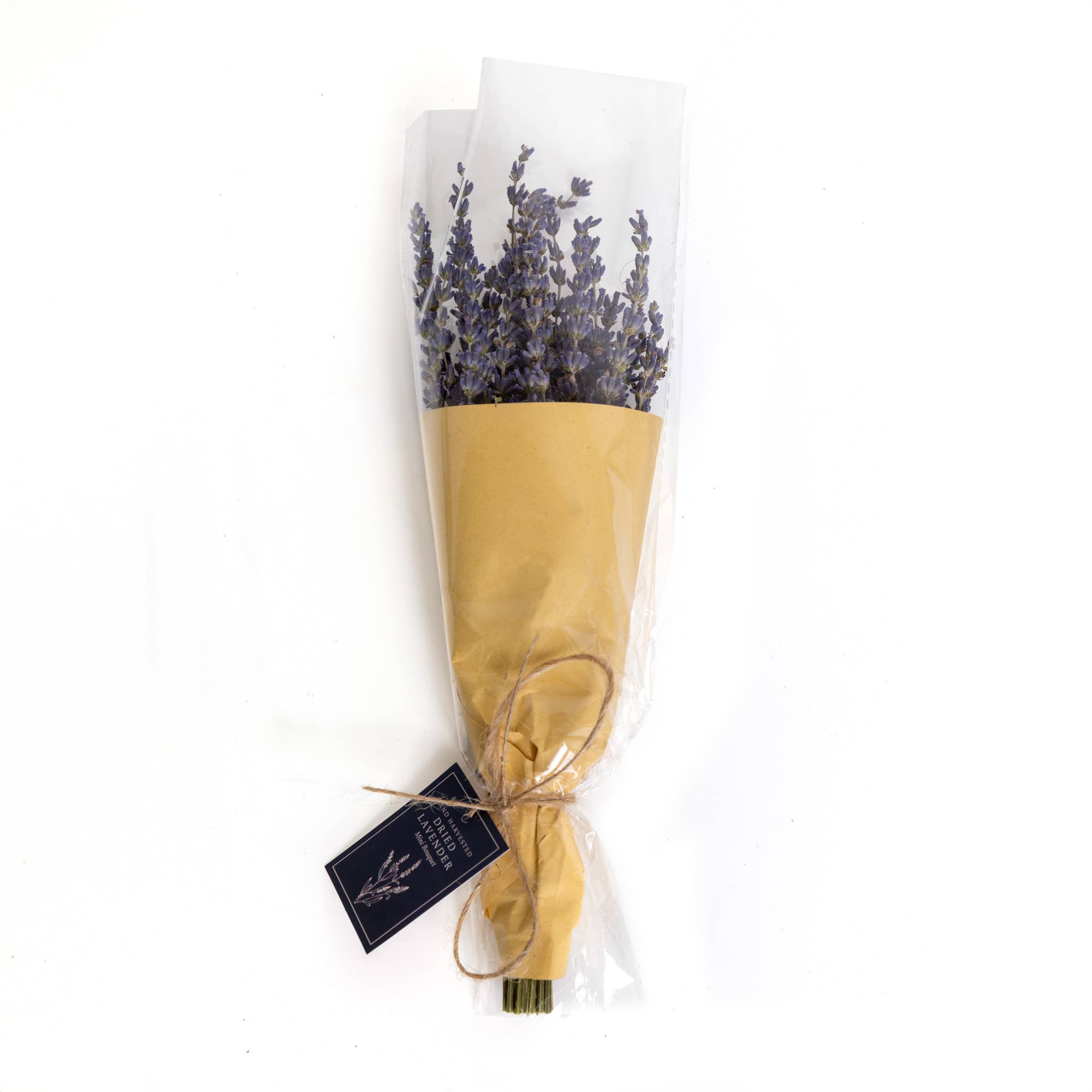 Dried lavender bundle wrapped in brown craft on a white background