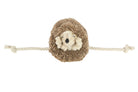 Hamilton the Hedgehog Dog Toy on a white background at Addison West