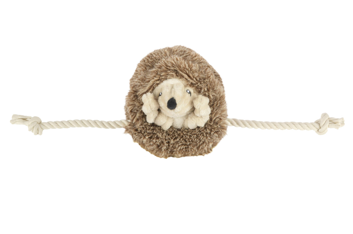 Hamilton the Hedgehog Dog Toy on a white background at Addison West