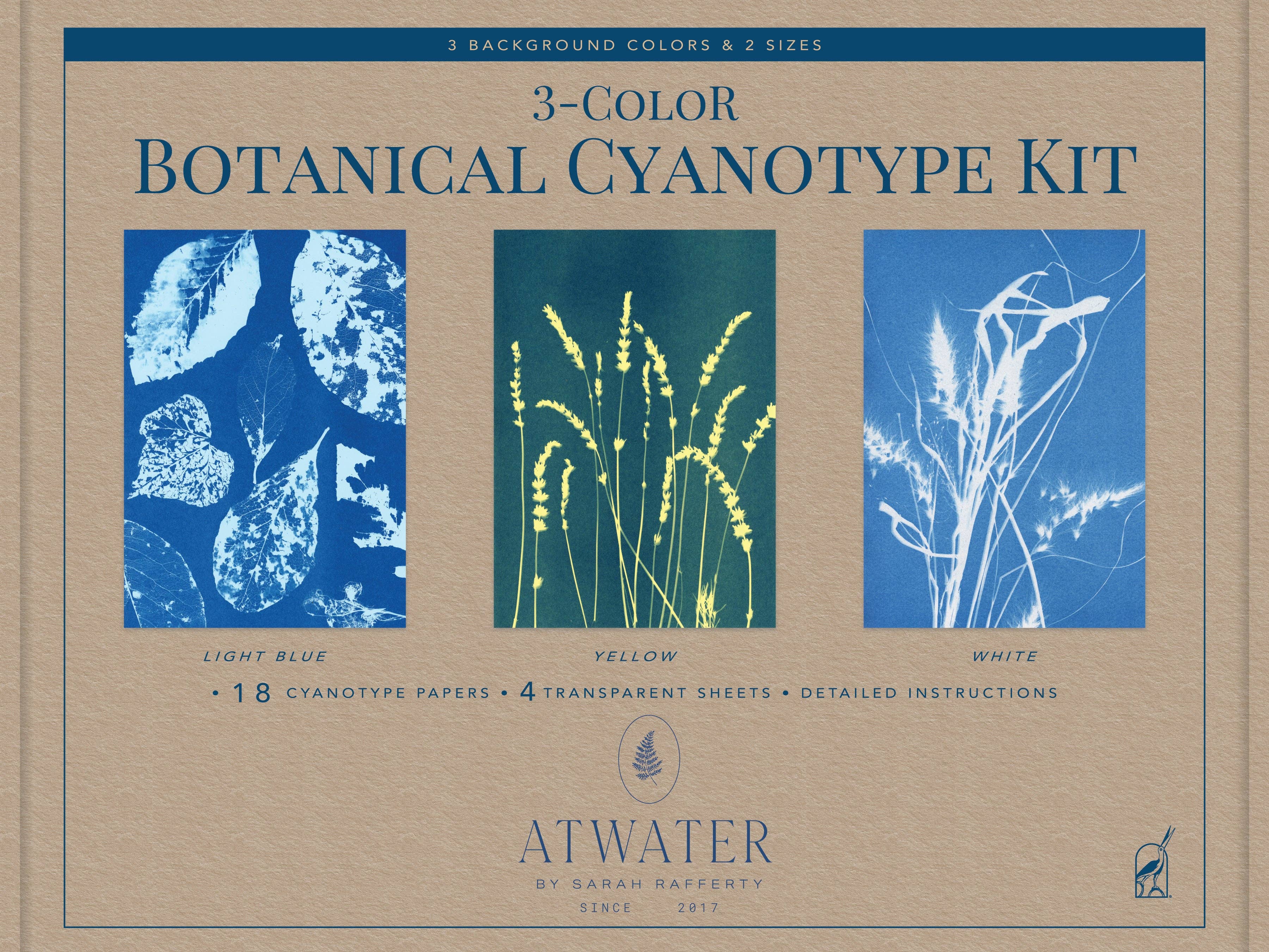 3-Color Botanical Cyanotype Kit at Addison West