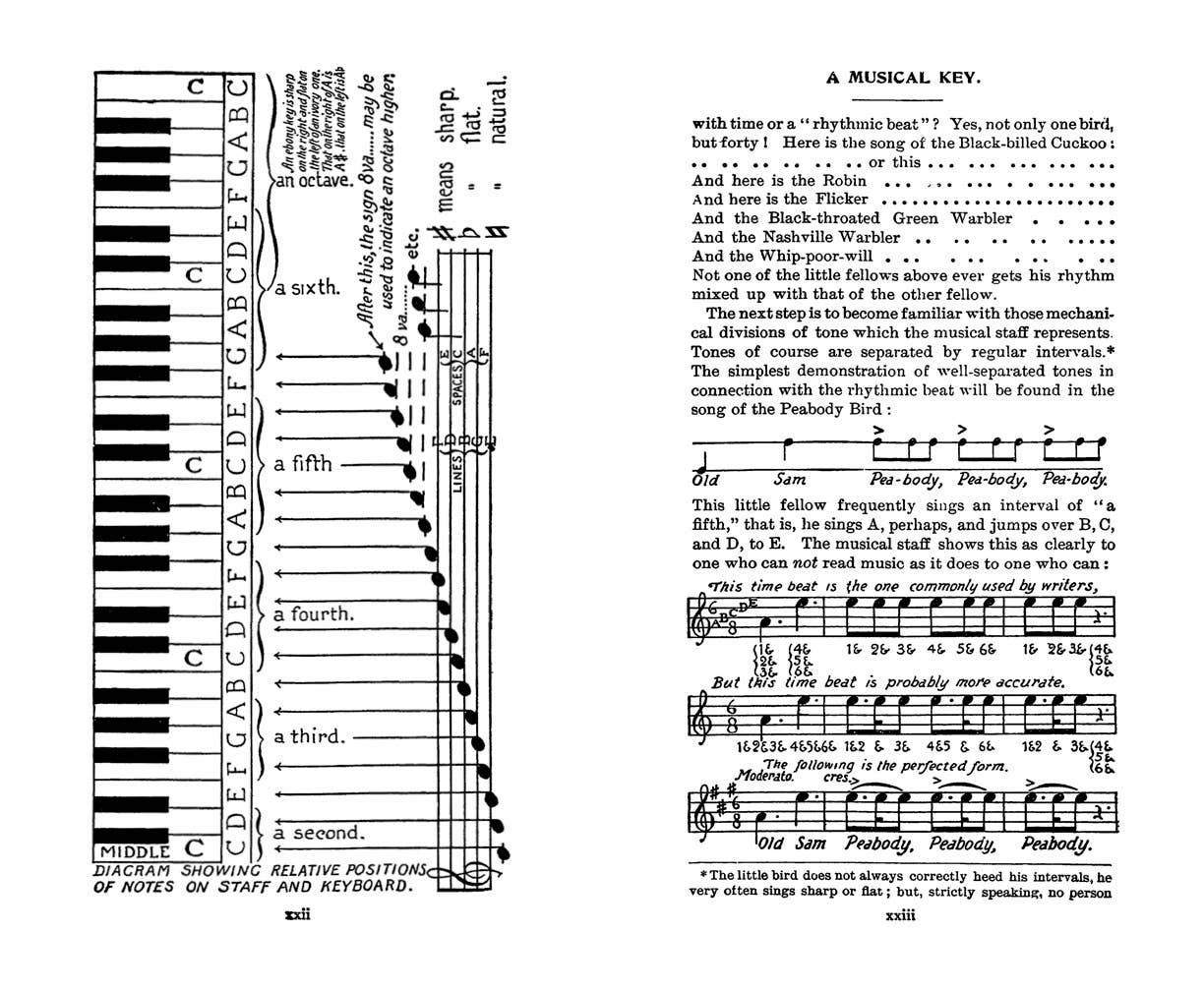 Field Book of Wild Birds and Their Music by F. Schuyler Mathews on a white background at Addison West