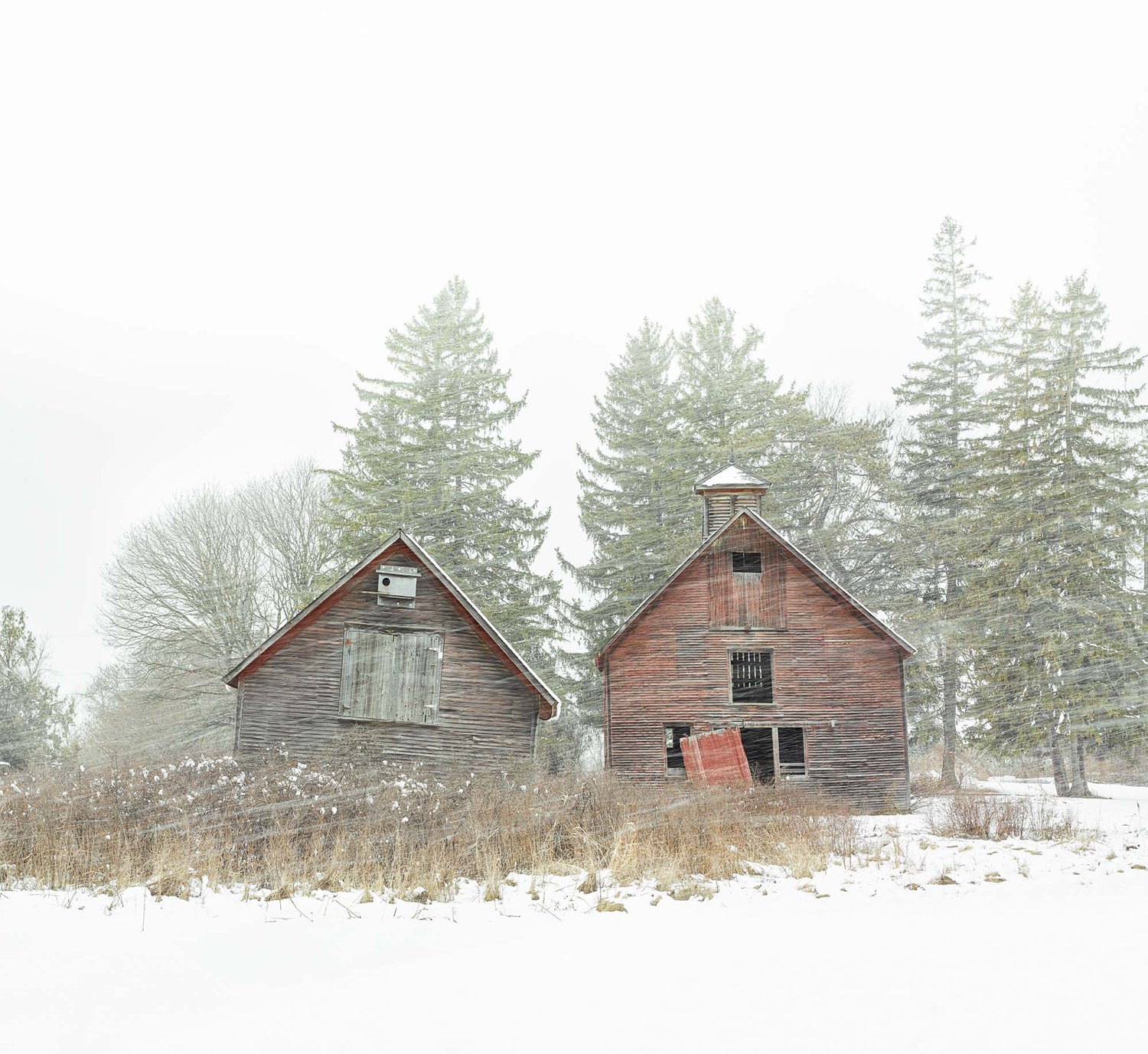 “Barn Brothers, ed. 1/10" by Jim Westphalen at Addison West