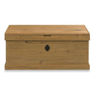 Woodbridge Furniture Keepsake Trunk on a white background at Addison West