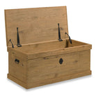 Woodbridge Furniture Keepsake Trunk on a white background at Addison West