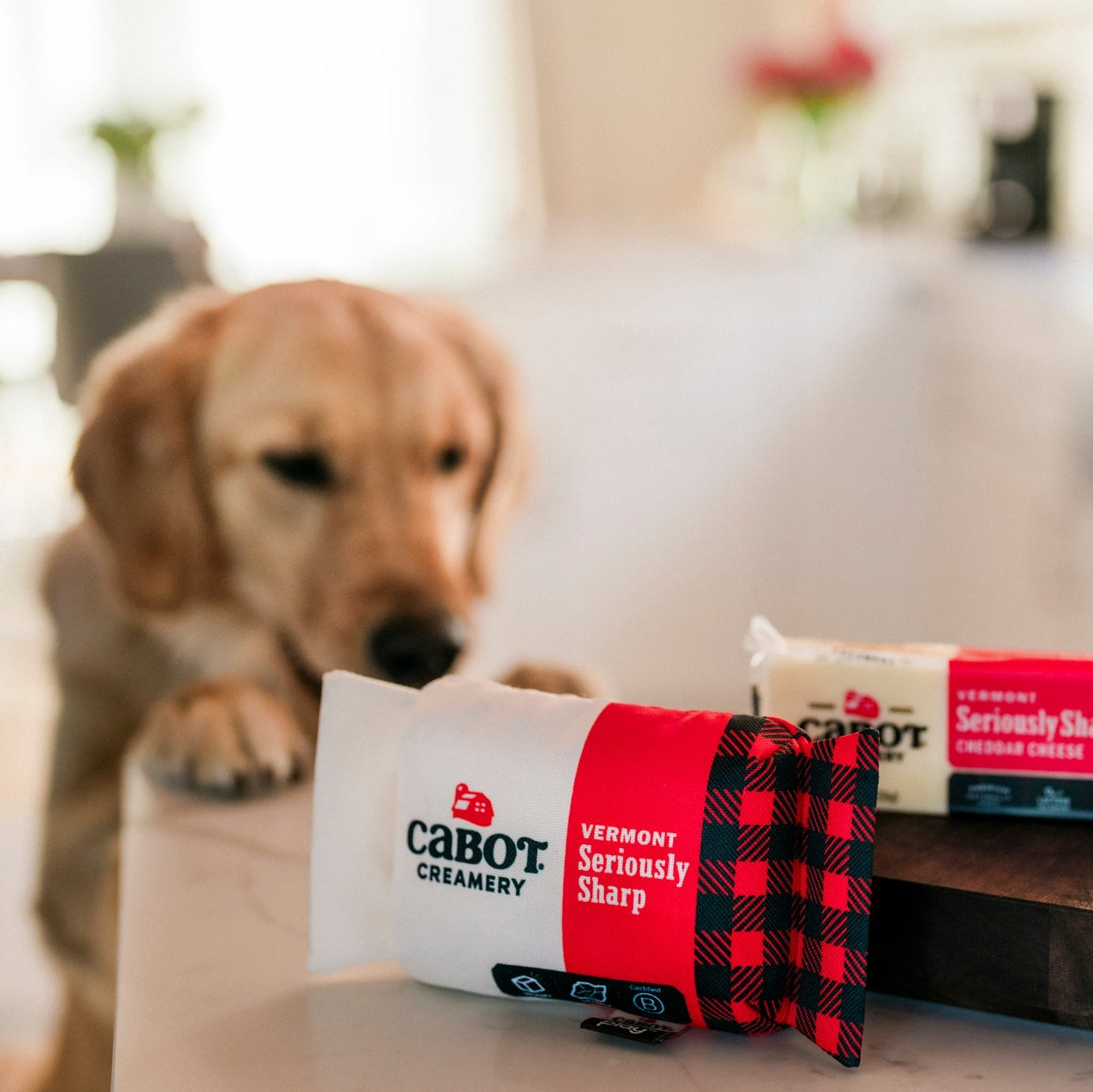 Cabot Creamery Seriously Sharp Squeaker on a kitchen table at Addison West