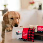 Cabot Creamery Seriously Sharp Squeaker on a kitchen table at Addison West