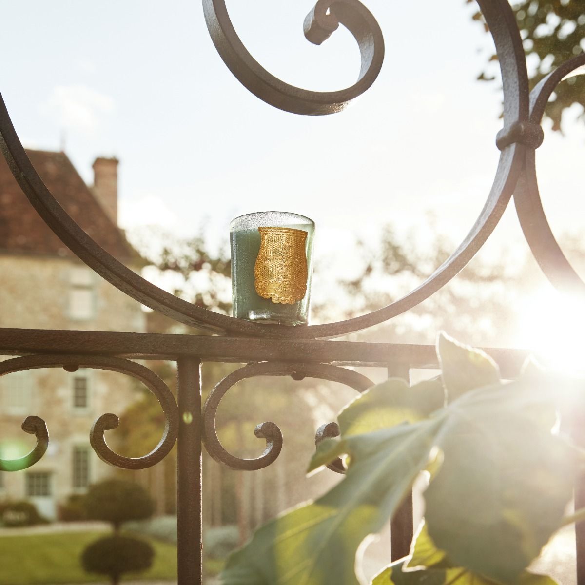 Trudon Figuerie "Fig Leaves and Hyacinth" Petite Candle on a fence at Addison West