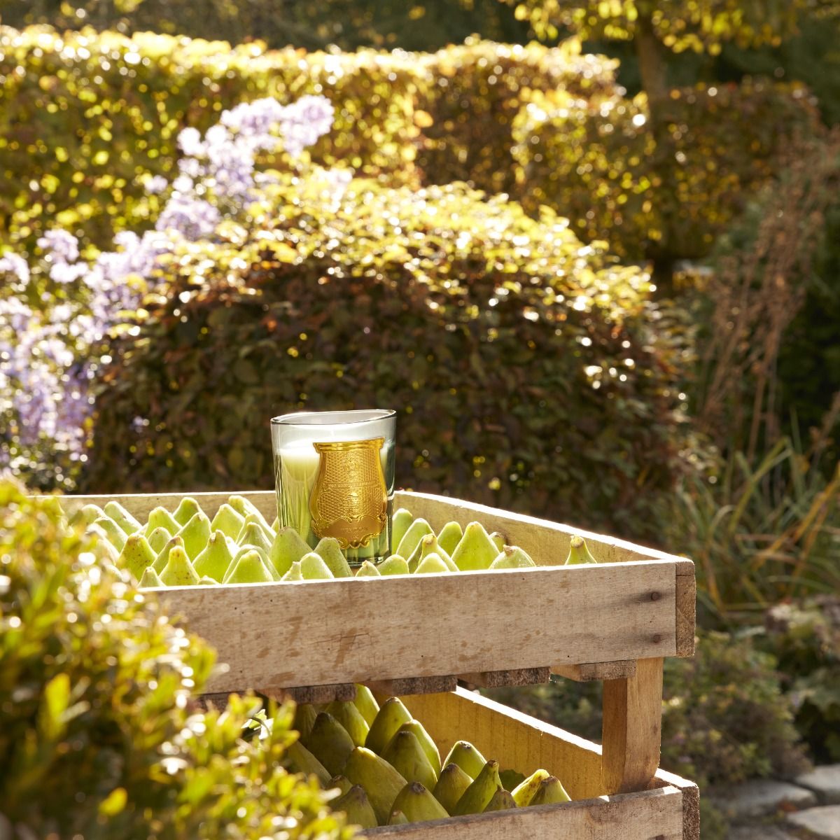 Trudon Figuerie "Fig Leaves and Hyacinth" Candle on a table at Addison West