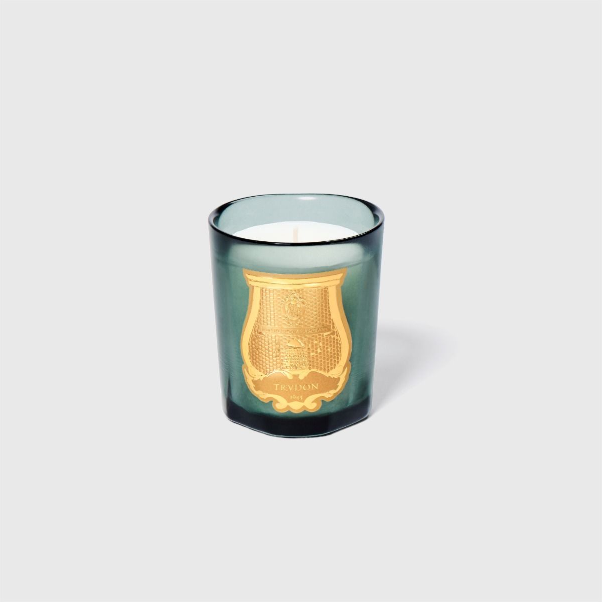 Trudon Figuerie "Fig Leaves and Hyacinth" Petite Candle on a white background at Addison West