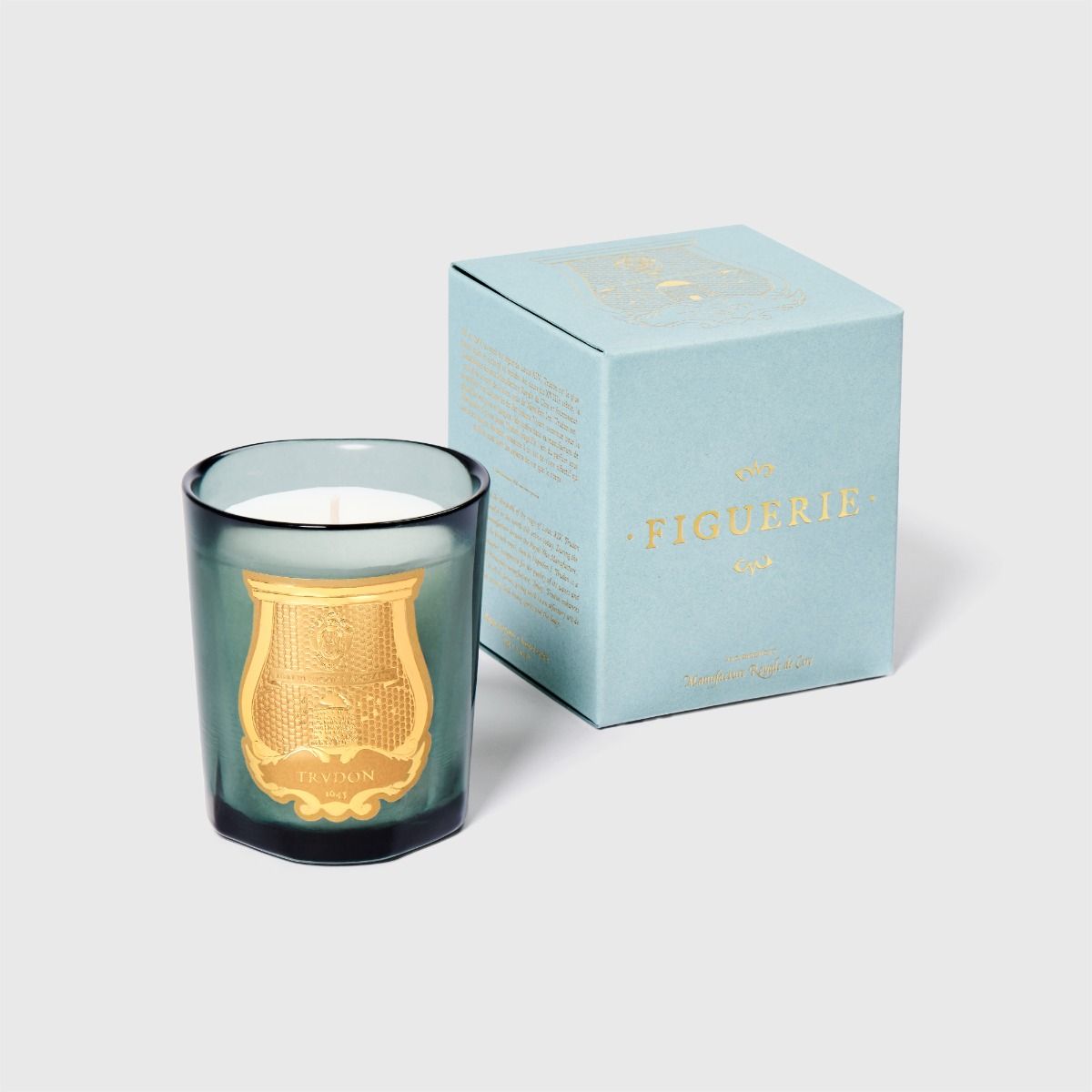 Trudon Figuerie "Fig Leaves and Hyacinth" Petite Candle on a white background at Addison West