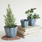 Galvanized Metal Planter With Scalloped Edge on a table at Addison West